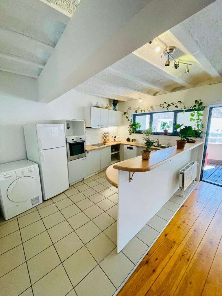 Down Town Oasis-Spacious Loft With Private Parking Brussels Ngoại thất bức ảnh